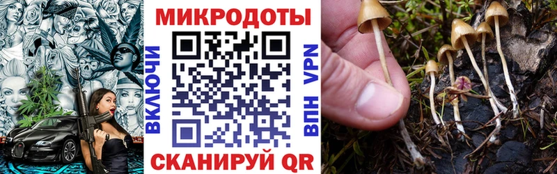 Галлюциногенные грибы Psilocybe  omg зеркало  Ковылкино 